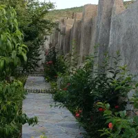 باغ-میوه