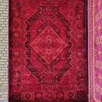 ۵۰۰تخته فرش در انواع رنگ بندی|فرش|ایلام, |دیوار