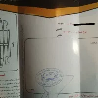 شاهین 1400 سانروف|خودرو سواری و وانت|سبزوار, کاشفی شمالی (دادگستری)|دیوار