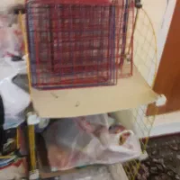 قفسه|کتابخانه، شلف، قفسه‌های دیواری|شهرکرد, |دیوار