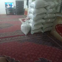 برنج علی اسماعیلی لرستان|خوردنی و آشامیدنی|ساوه, |دیوار