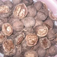 گردوی خوشممزه باکیفیت بقیع|خوردنی و آشامیدنی|نیشابور, سرآب کوشک|دیوار