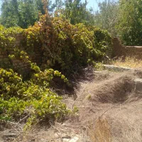 فروش زمین ۴۰۰ متری در روستای بوژآباد جاده بوژان|فروش زمین و ملک کلنگی|نیشابور, منظر|دیوار