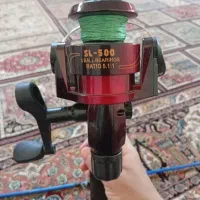 لنسر ماهیگیری