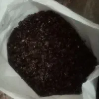 پرک لیمو وتخم لیمو و..