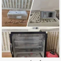 دستگاه جوجه کشی