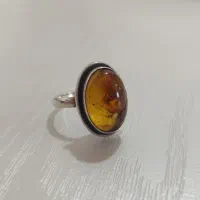 عتیقه کهربا با فسیل جانوران ماقبل تاریخ|کلکسیون اشیاء عتیقه|بوکان, |دیوار