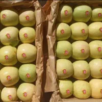 به چند خانم جوان نیازمندیم واسه کار سردخانه