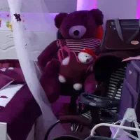 گهواره و کریر قیمت مناسب