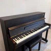 پیانو دیجیتال Crawzer طرح آکوستیک (سری CX)