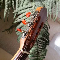 گیتار کلاسیک تمام‌چوب دست‌ساز  نو نو|گیتار، بیس، امپلیفایر|تهران, دبستان|دیوار