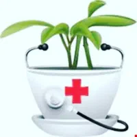 خدمات کشاورزی و فضای سبز داروخانه کلینک گیاه پزشکی