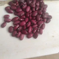 فروش 3تن لوبیا|عمدهفروشی|لردگان, |دیوار