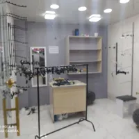 تعدادی رگال و چوب لباسی