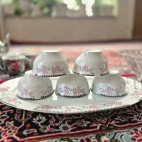 ظروف پذیرایی