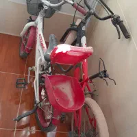 دو عدد دوچرخه