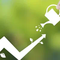 مشارکت در خرید و فروش ماشین