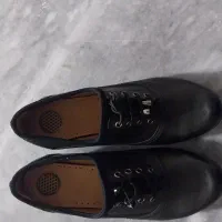 کفش زنانه|کیف، کفش، کمربند|خوی, |دیوار