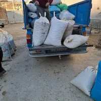 خریداربادام سنگی شاهرودی و غیر