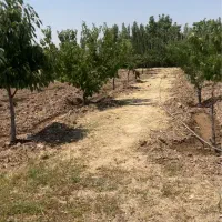 اقدسیه-چهارباغ