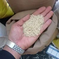 پخش عمده برنج ایرانی و خارجی و حبوبات و زعفران|خوردنی و آشامیدنی|تهران, ولنجک|دیوار