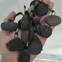 گردنی قدیمی هباب