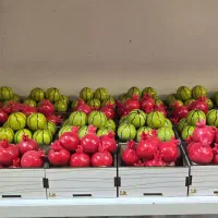 سینی مینیاتوری یلدایی|صنایع دستی و سایر لوازم تزئینی|ری, دولتآباد|دیوار