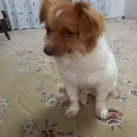 مژدگانی خوب برای یابنده