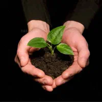 کمپ ترک اعتیاد تمایلی و اجباری و‌vip