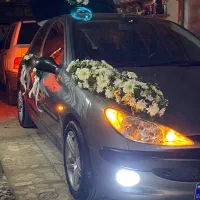 رینگ استرا در حد