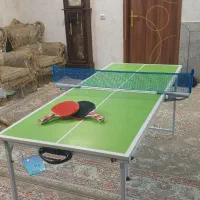 مینی میز پینگ‌پنگ تاشو