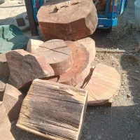 خریدار انواع چوب درختان میوه و|خدمات باغبانی و درختکاری|تهران, اکباتان|دیوار