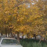 انجام امور اداری شهرداری