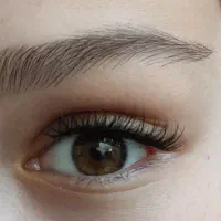 کاشت مژه|خدمات آرایشگری و زیبایی|مشهد, شهید احمدی روشن|دیوار