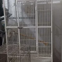 قفس ۱۶۰ سانت کره ای مخصوص کاکادو و کاسکو