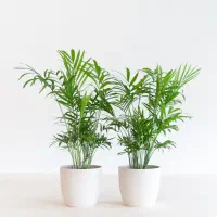 راهنمایی جویایی کار