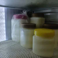 روغن درجه یک گوسفند