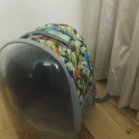 کیف