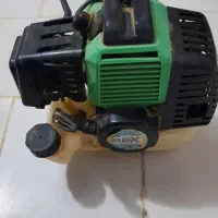 علف زن در حد