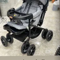 کالسکه تک دلیجان در سیسمونی دردونه|کالسکه و لوازم جانبی|مشهد, طبرسی شمالی|دیوار