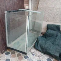 اکواریوم|ماهی|یزد, |دیوار