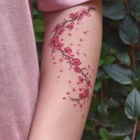 تخفیف تتو و ارایش دائم