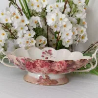 لمونژ.دنسی