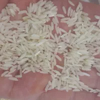 برنج هاشمی راتون( شاه بج)