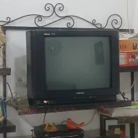 تلویزیون