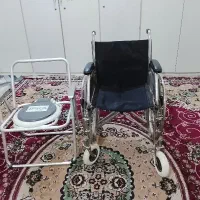 ویلچروتوالت فرنگی