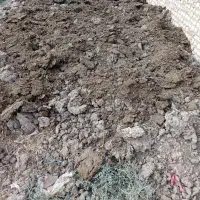 کود گاوی درجه یک خالص