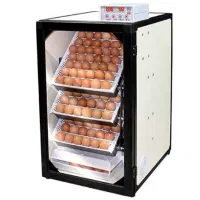 دستگاه جوجه کشی ۱۶۸ تایی اسکندری