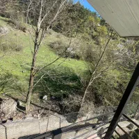 اجاره ویلا سالانه جنگلی ویو داردر کلاردشت