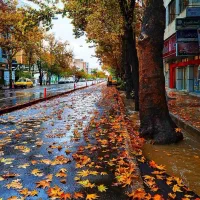 تور سه روزه شیراز گردی ۵ لغایت ۸ ابان ماه